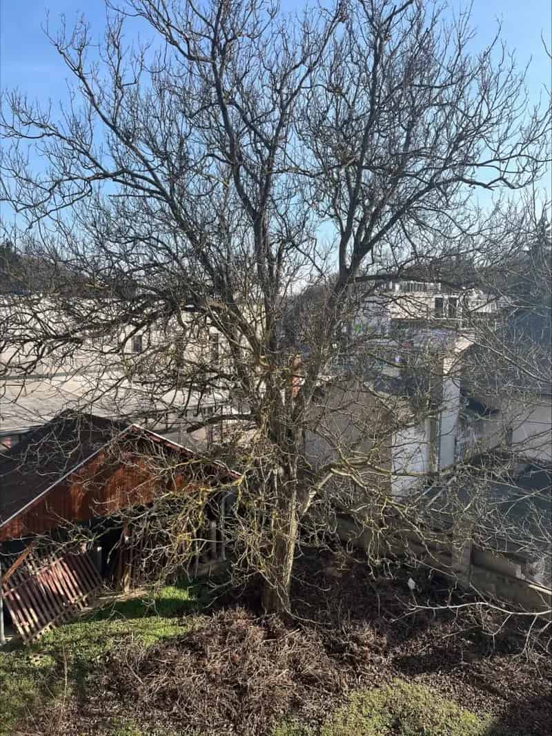 Telek eladó Máriaremeten 538 nm