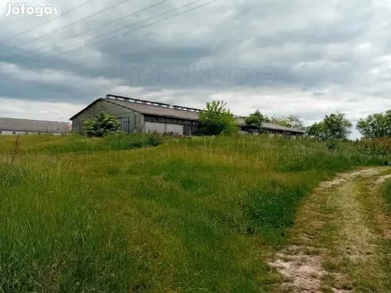 Gazdasági épület eladó Zamárdiban