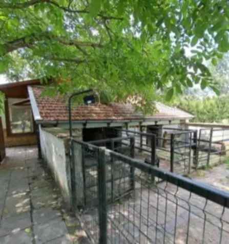 Gyulai Tanya Eladó - 110 m2 - 4316 m2 Telek - Állattartásra Alkalmas