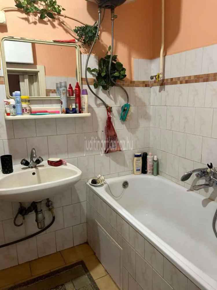 Ház Kiadó , Nyíregyháza, Alföld és Észak