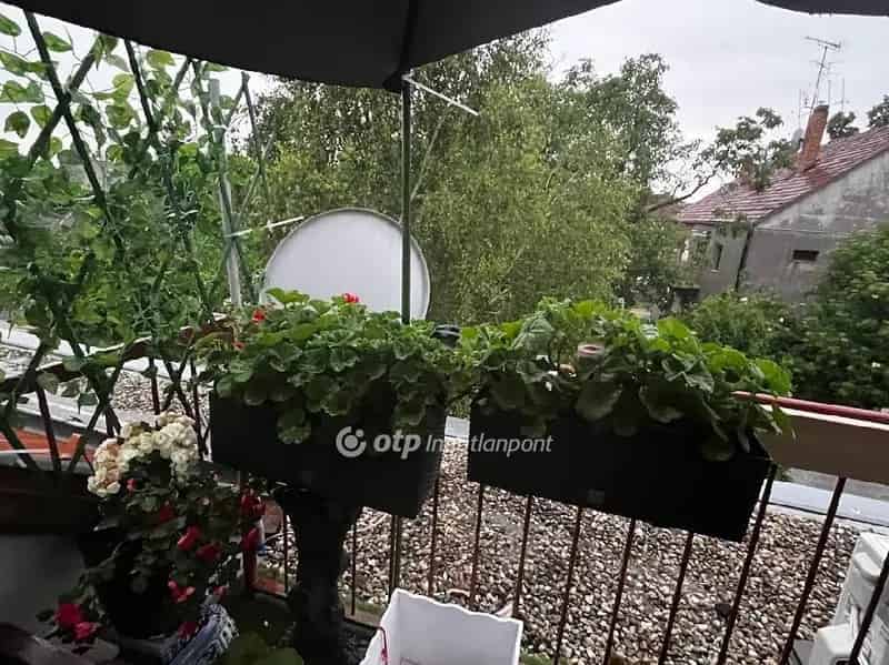 Lakás Kiadó , 9, Bajcsy-Zsilinszky utca, Pécs, Dunántúl