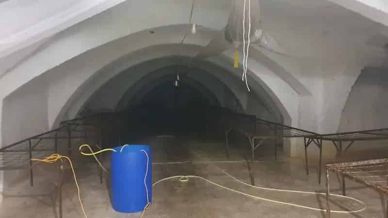 Vállalkozásra alkalmas családi ház Nagytétényben 1200 nm-es pincével