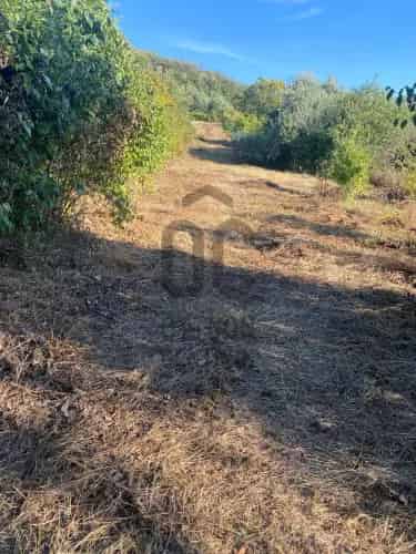 Esztergomi Elado Telek DTK025858 1177m2 Zartkert 1448m2 Szanto