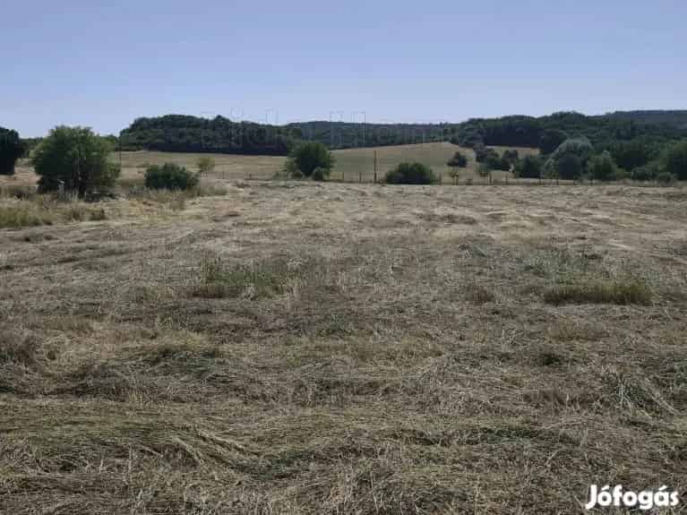 Fejlesztési terület Felsőörsön eladó 12061 m2