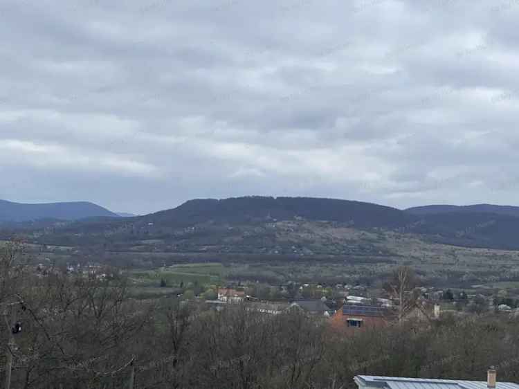 Telek Kiadó in Szentendre, Közép-Magyarország