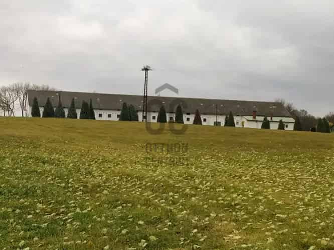 Udvari 80 Ha-os Birtok Elado