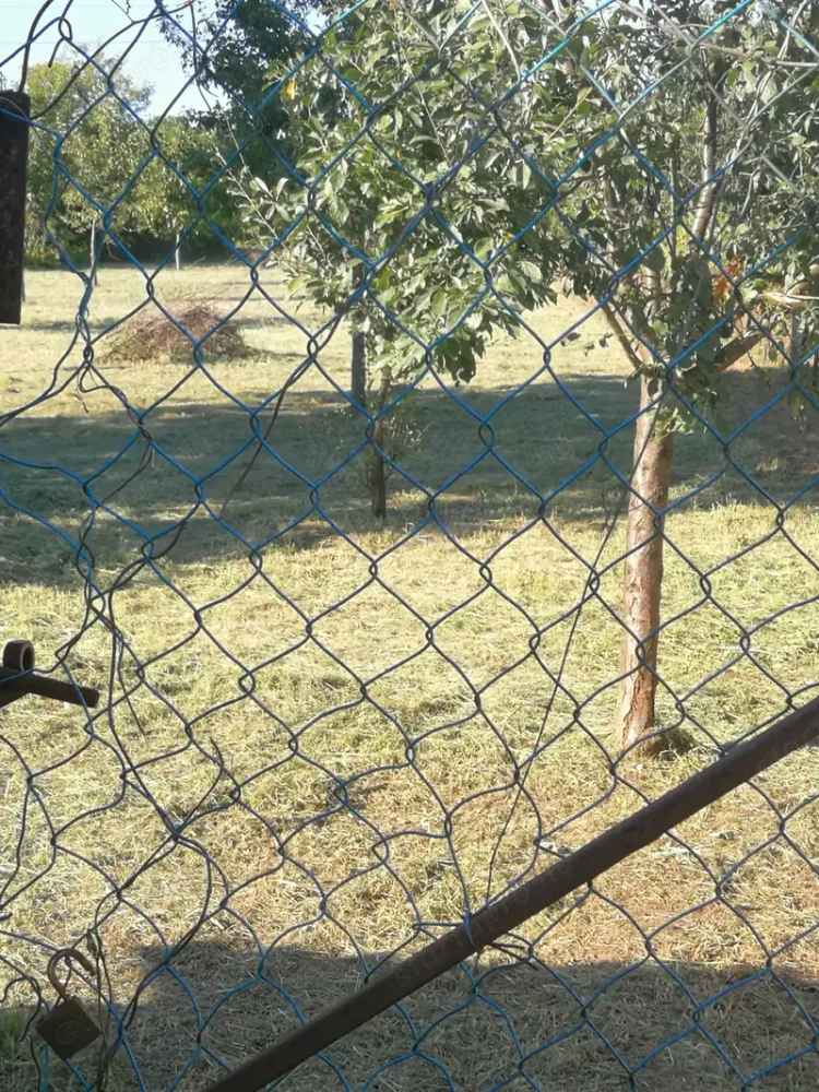 Nagy földterület eladó vagy kiadó gyümölcsfákkal