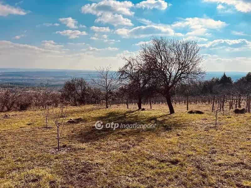 Balatoni panorámás gyümölcsös eladó
