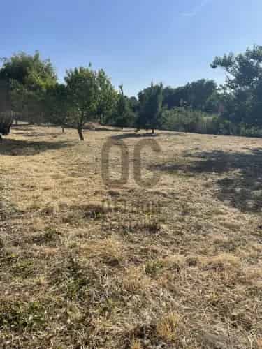 Abonyi Telek Elado 700m2tol 30 Beepithetoseg 5m Magassag