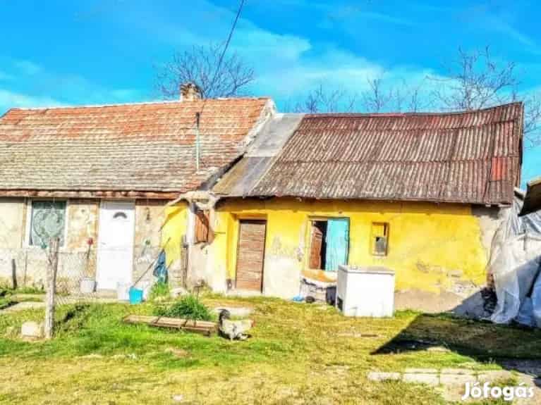 Eladó tanya Nagykőrösön 14 ha területtel