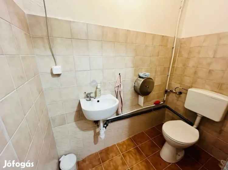 Pilis 170 nm-es tanya eladó - lovastanya, üzlethelyiség, húsfeldolgozó