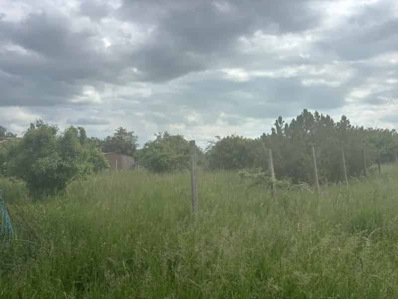Papkeszi Balaton-közeli telek eladó 1513 nm