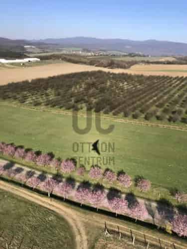 Berkenyei eladó telek kiváló panorámával DTK089471