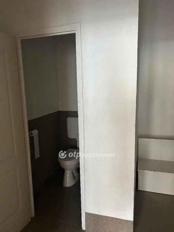 Aszódi Belvárosi Ingatlan Elado 200 m2 3 Uzlethelyiseggel
