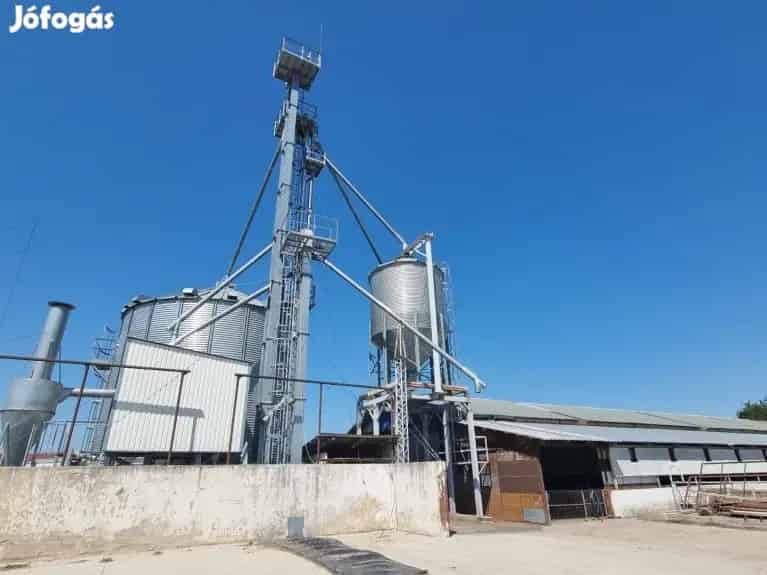 Földesi tanya eladó állattartásra 22874 m2-es telekkel 190 m2-es ház