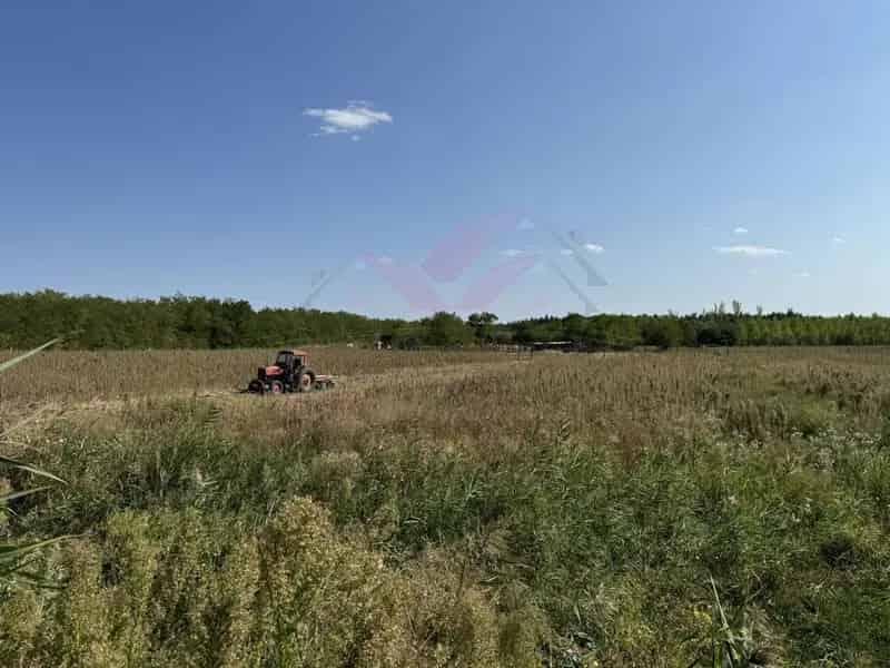 Debrecen közelében 11,9 ha-os terület eladó állattartó épületekkel