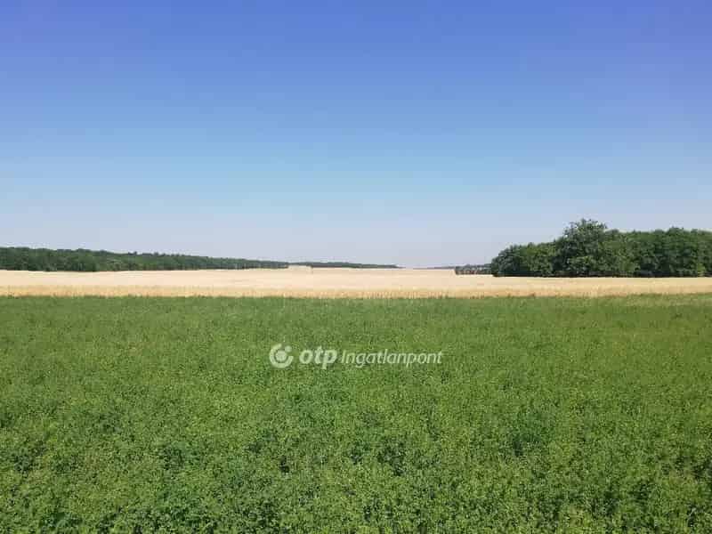 Telek Kiadó , Nagykátai járás, Közép-Magyarország