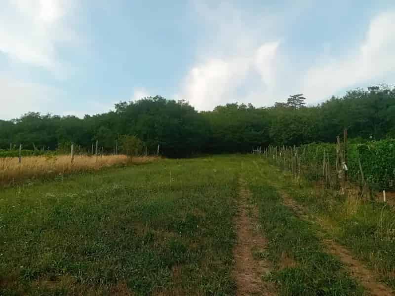 Szomód külterületi telek eladó 4000 m²