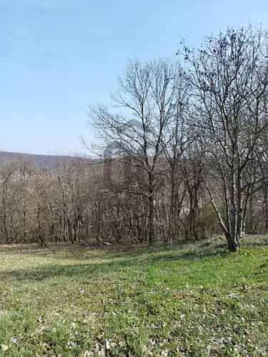 Piliscsaba építési telek eladó 2000 m2 panoráma
