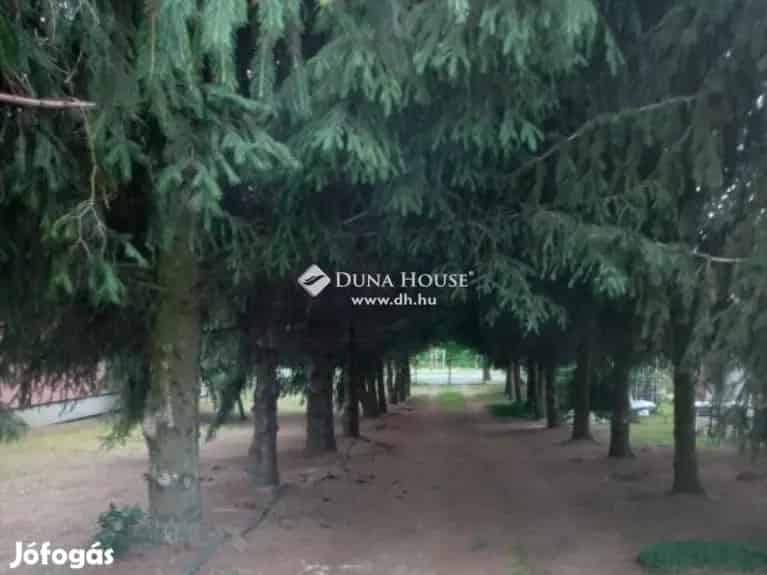 Nagyhalász Telek Eladó Nyíregyháza Közelében 3170 m2