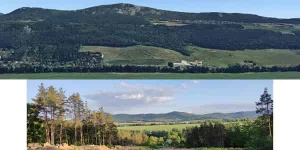 Telkek eladók Pilisborosjenőn 800 m2-től panorámás kilátással
