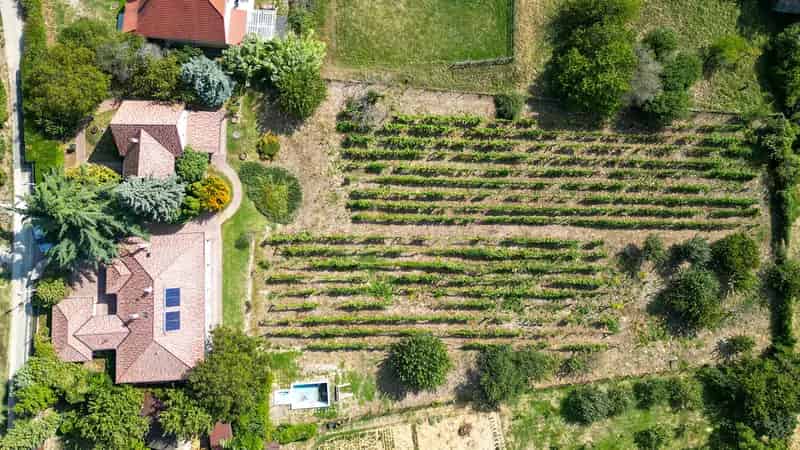 Balatoni Panorámás Családi Ház Eladó