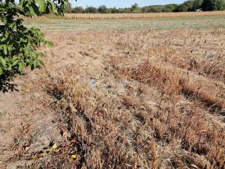 Telek megvásárlása Válon panorámás kilátással és családi ház építési lehetőséggel