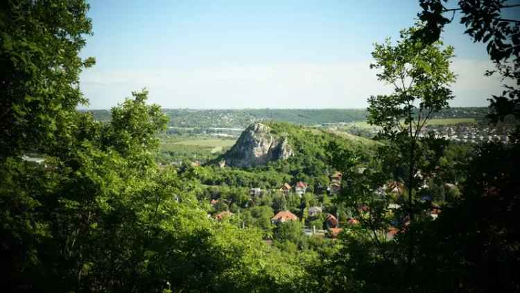 Telek Kiadó in Budaörs, Közép-Magyarország