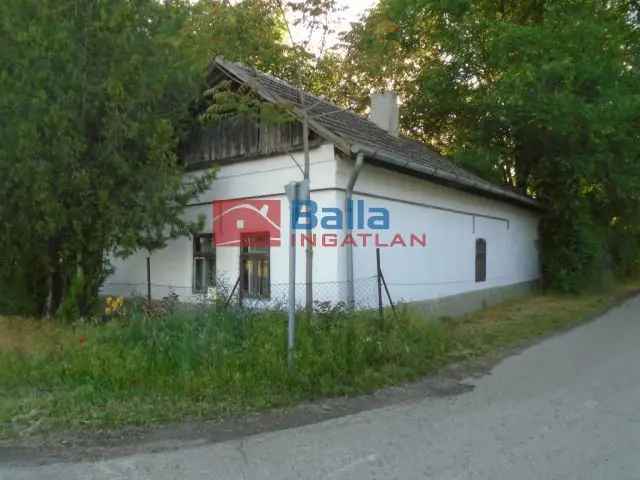 Tiszakécske családi ház eladó 6242 m2 telken