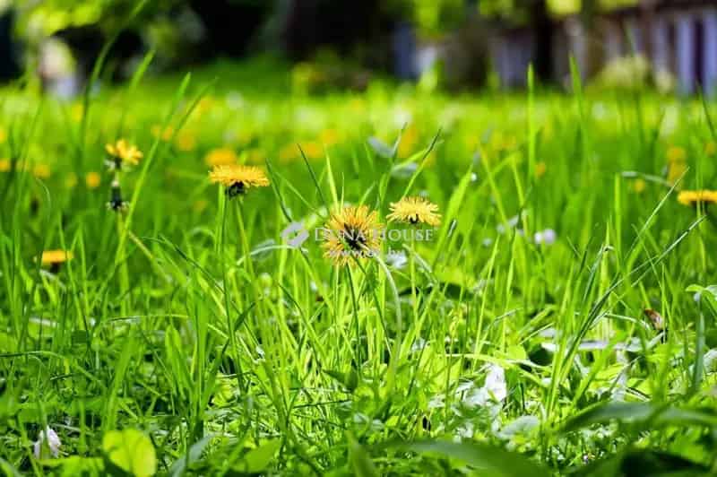 10 Nyírtúri Építési Telek Eladó - Lakópark Fejlesztésre Alkalmas