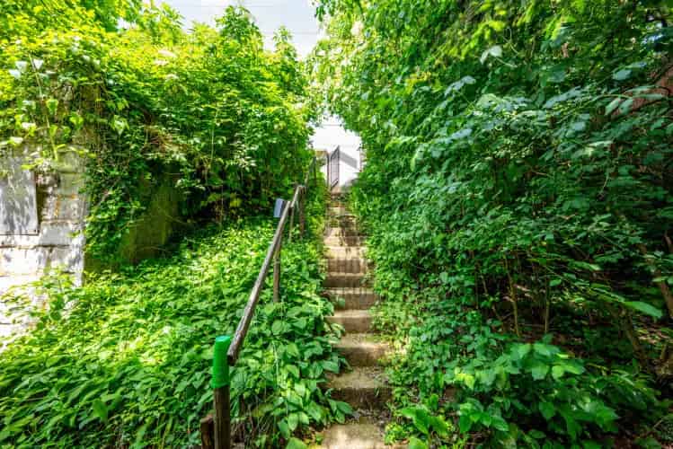 Remeteszőlős Telek Eladó 896m2 35m2-es Házzal