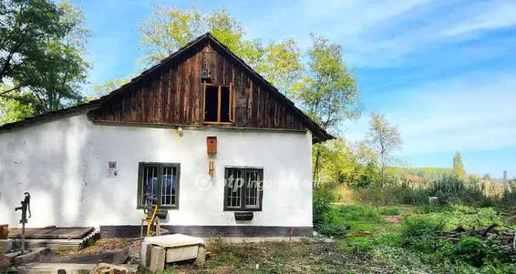Szentesi tanya eladó 2877 m2-es telekkel