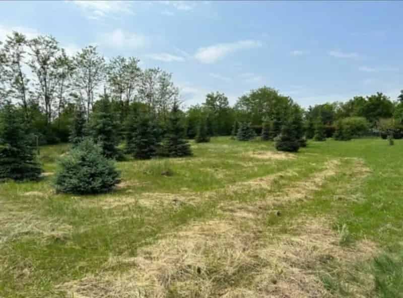 Építési Telek Harasztifaluban 1563 m2 - Természetközeli Környezet