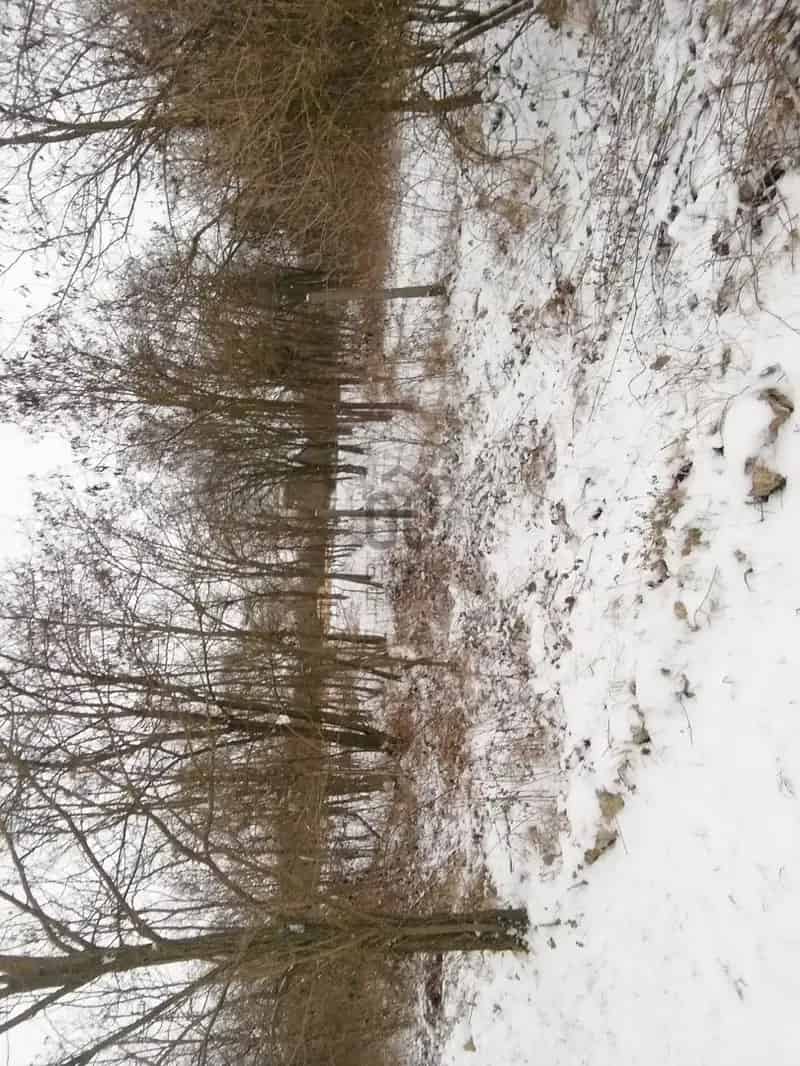 Telek eladó Pécs közelében kis gazdasághoz vagy lótartáshoz