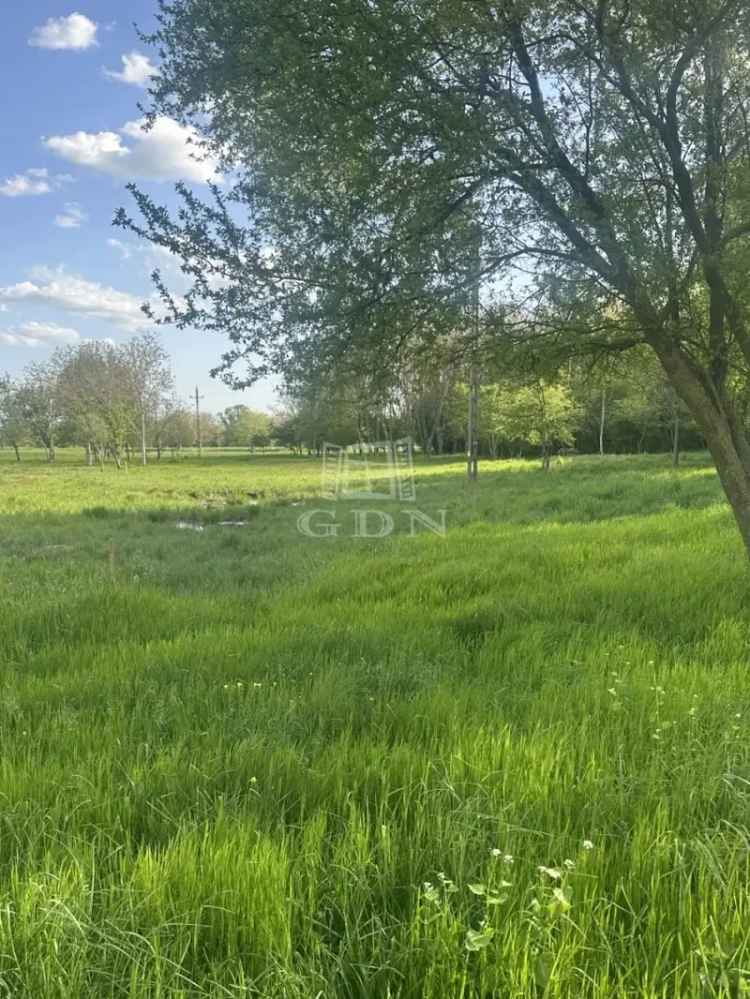 Balatongyörök 37 ha külterületi ingatlan eladó