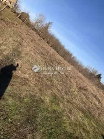 Kecskemét Hetényegyháza 2470 nm-es zártkerti telek eladó