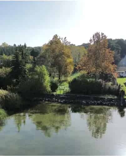 Balatonfenyvesi Vízparti Telek Elado 1505 m2