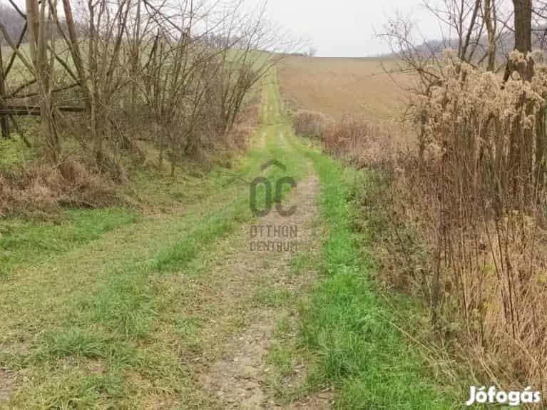 Zalaszentgrót Csáford 1154 nm-es zártkerti telek eladó