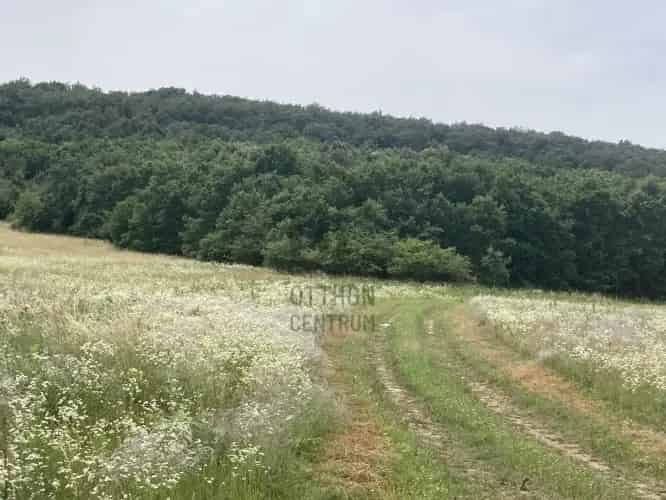 Pilisjászfalui Telek Eladó - Erdő Közelében