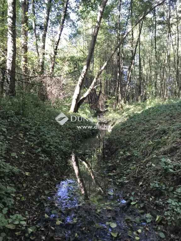 Bagod 3900m2-es Belterületi Telek Eladó - Falusi CSOK