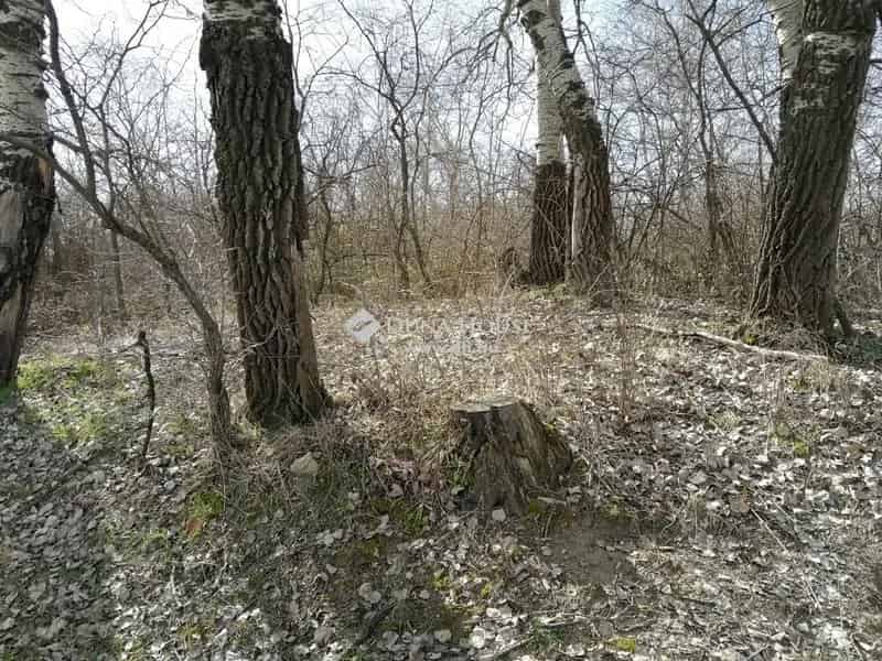 584 nm-es telek Eladó Szigetszentmiklóson Bucka tó mellett