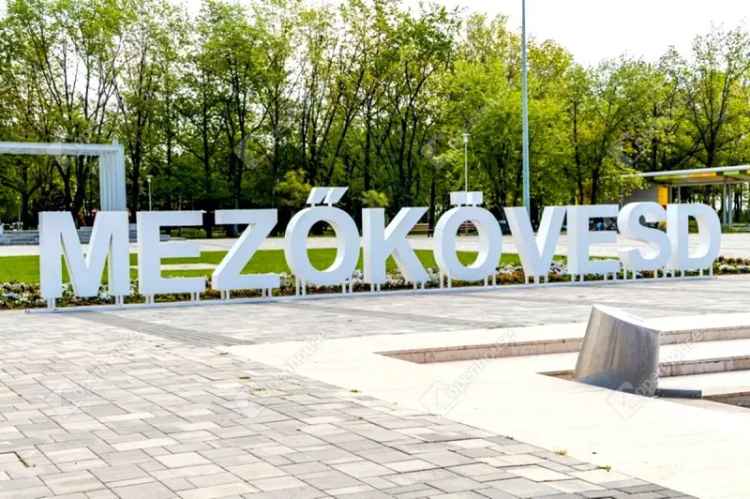 Mezőkövesdi 3 hektáros erdő és szántó eladó