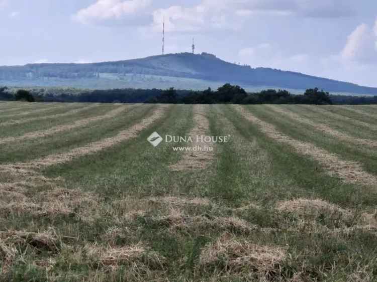 Eladó mezőgazdasági terület 5 hektáron lenyűgöző panorámával