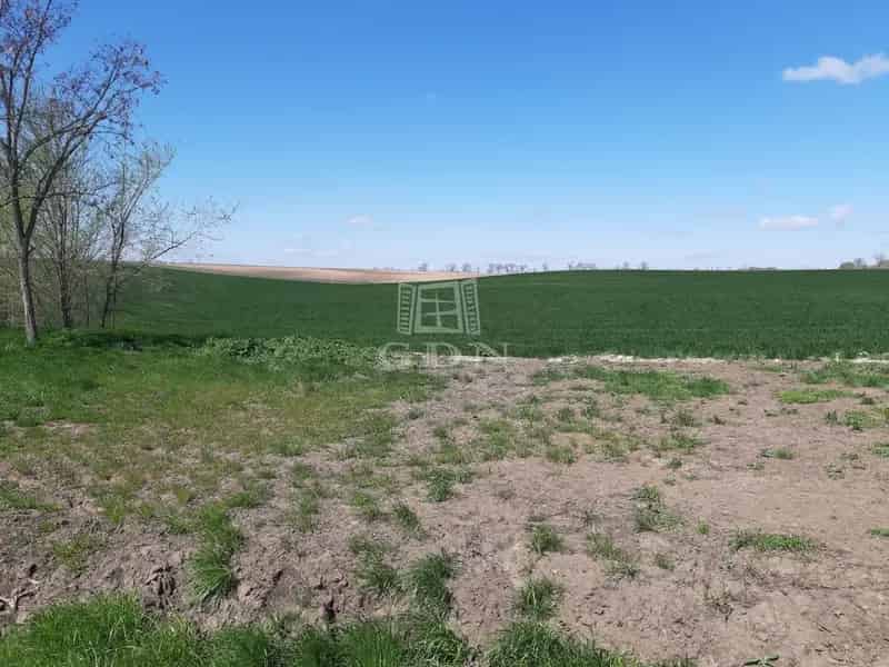 Pátyon eladó 17590 nm szántóföld M1-es közelében