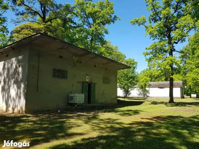 80 000 m2-es telek Nagykanizsán turisztikai övezetben