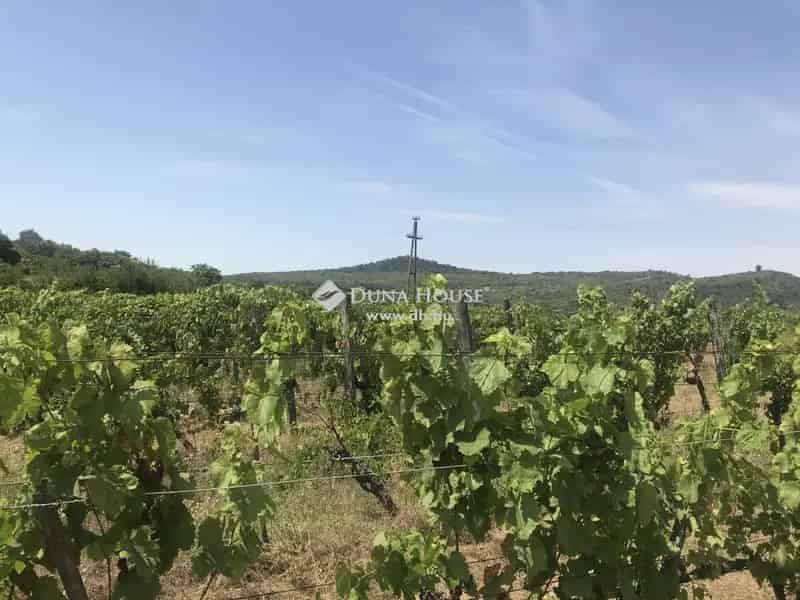 Tihanyi panorámás szőlőterület eladó