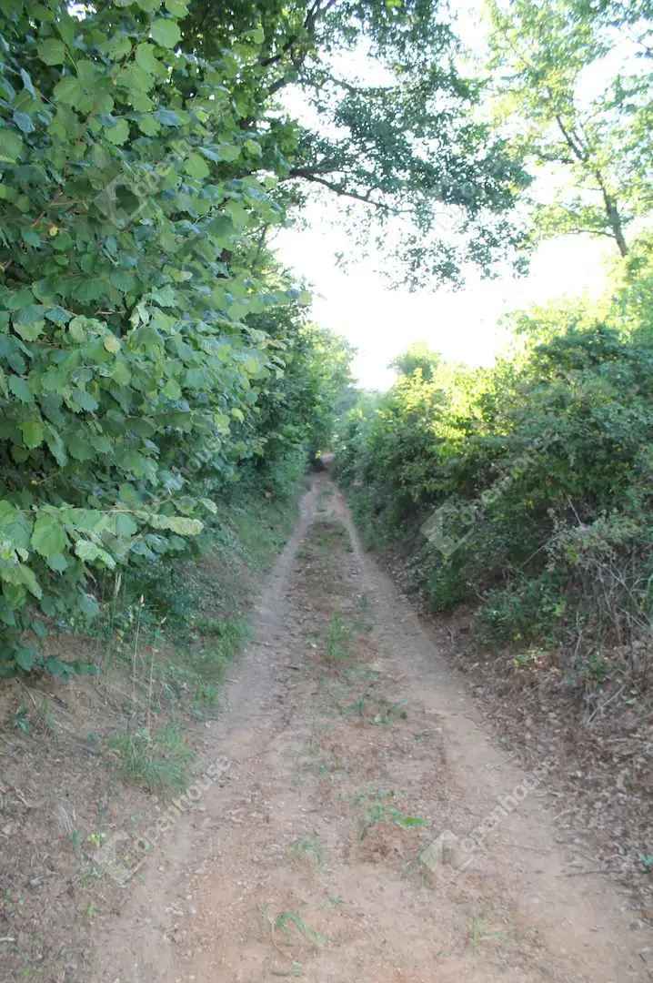 Eladó telek Kőszegen gyümölcsfákkal és panorámás kilátással