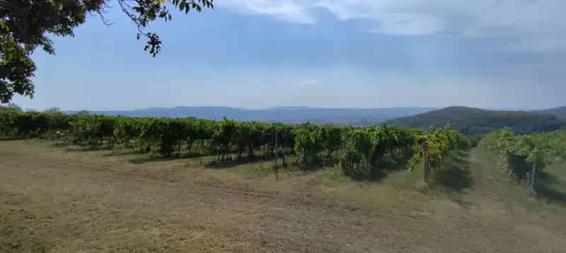 Zalaszentgrót Csáfordi panorámás zártkerti ingatlan eladó