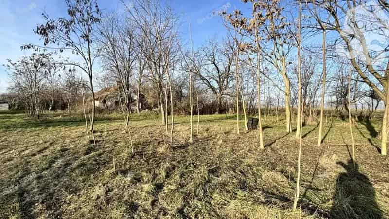 Kecskemét Talfán tanya eladó 2877m2-es telekkel