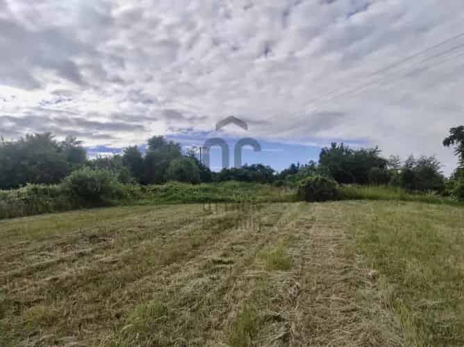 Nemesvita Telek Elado 3500m2